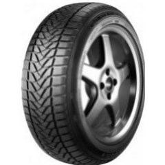 175/65R13 Winterhawk                                                            